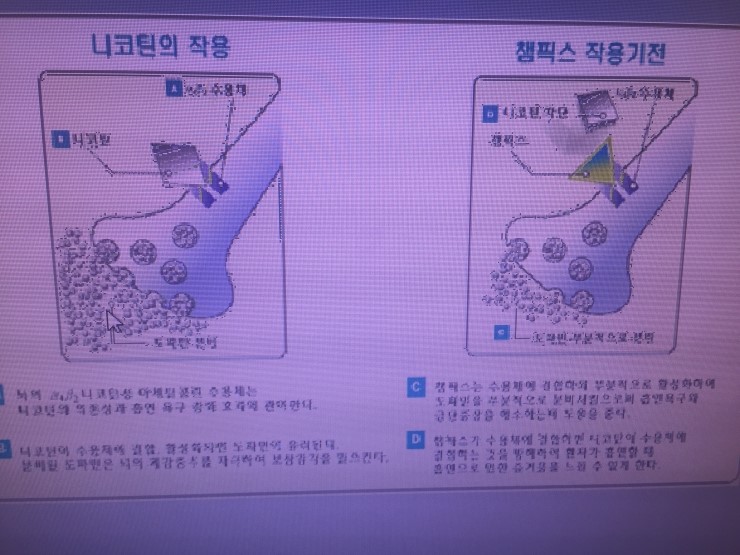 편한기치과 이미지