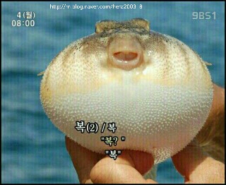 베베드피노원주점 이미지