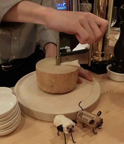 보이빙글 이미지