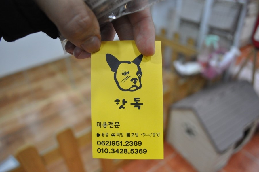 핫독 이미지