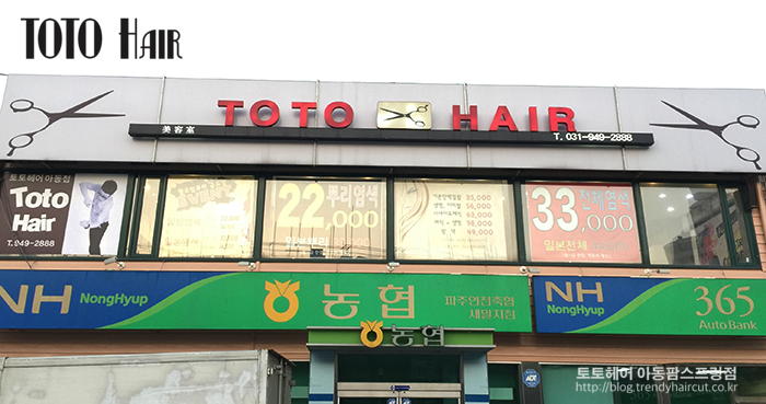 토토헤어 이미지