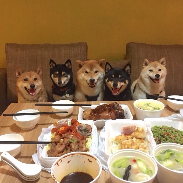 모모컴퍼니 이미지