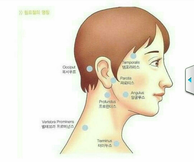 아셀홈케어 이미지