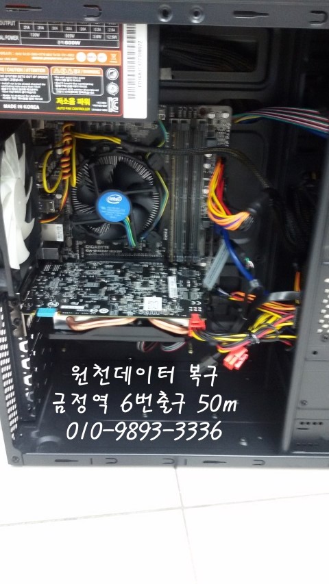 금정크로커다일 이미지