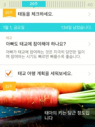 콘이코니 이미지