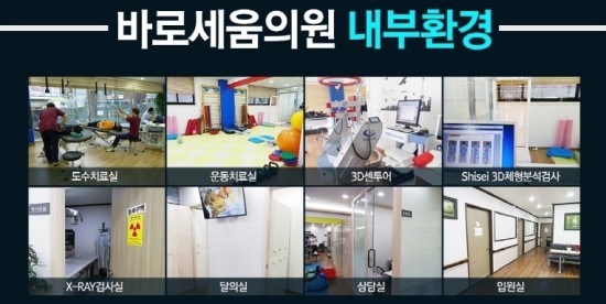 바로세움 이미지