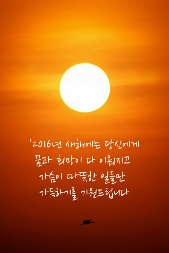 네일에반하다 이미지