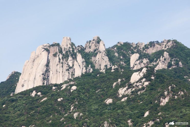 도봉산커피 이미지