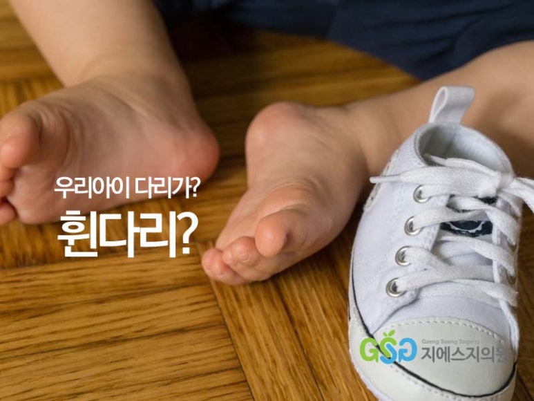 지에스지 이미지