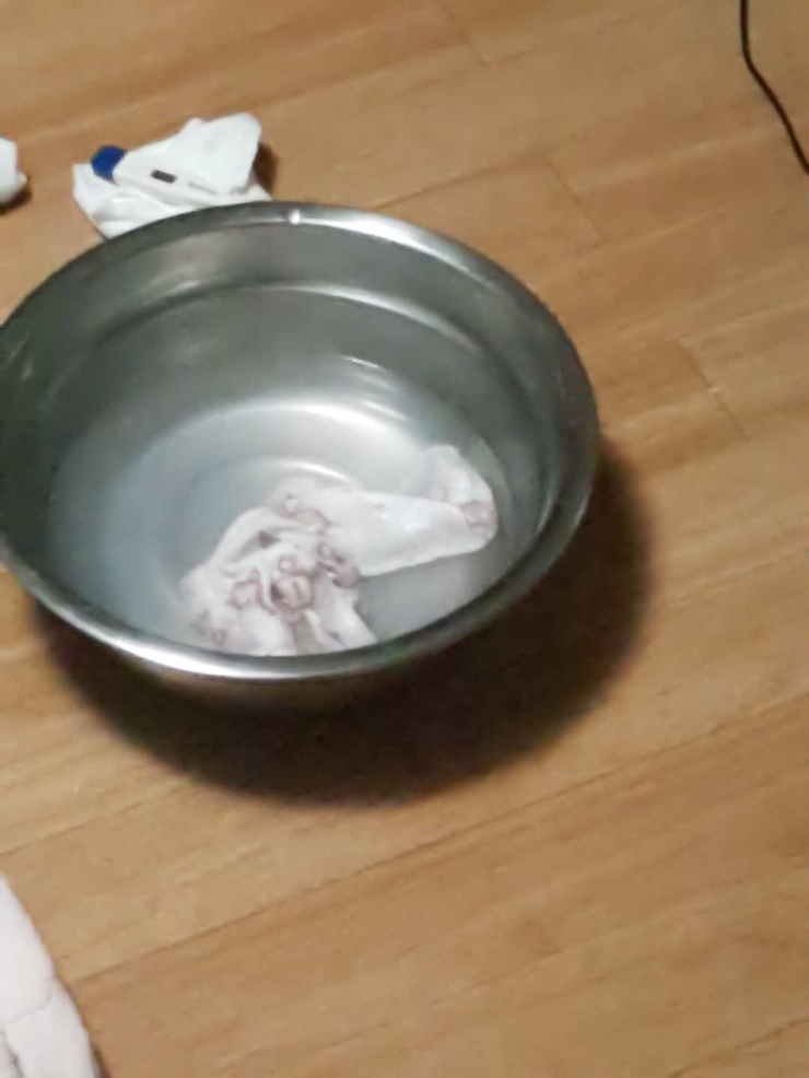 밤새 우리 이미지