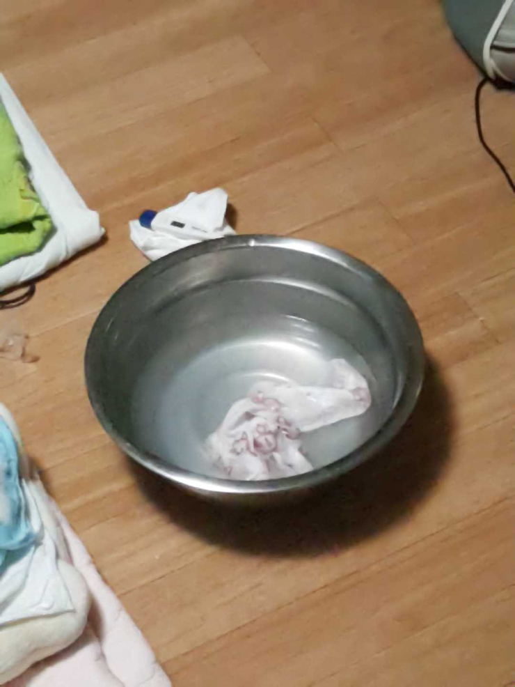 밤새 우리 이미지