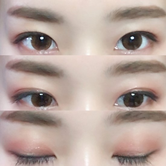 데일리브라운 이미지