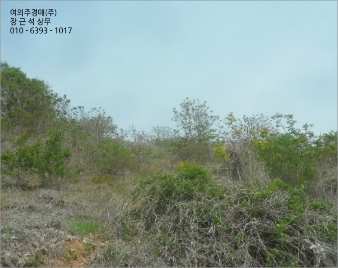 대상(주) 단양공장 이미지