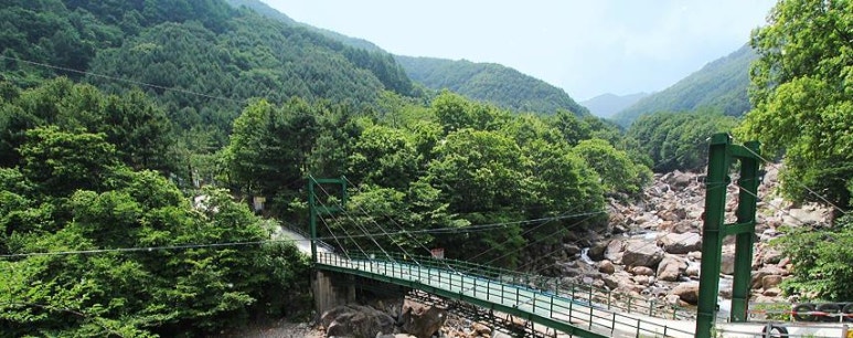 지리산숲속의쉼터 이미지