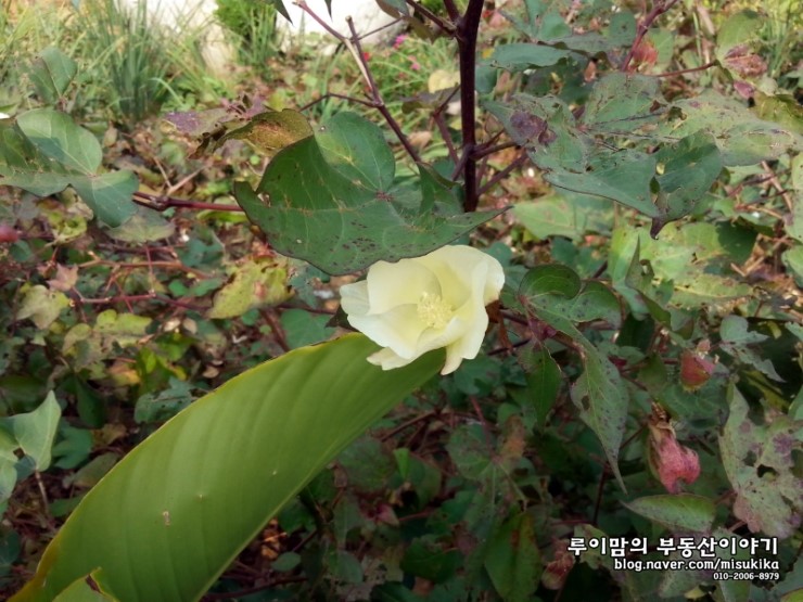 대일건축자재 이미지