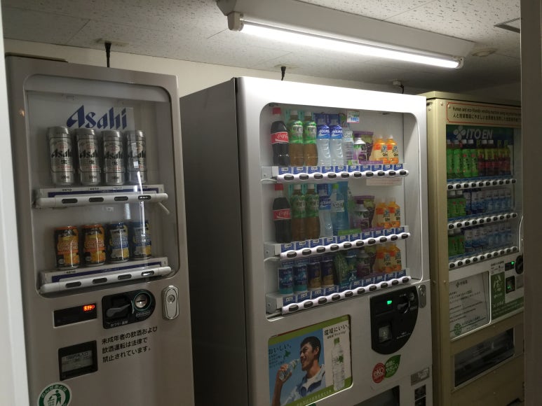 동일리조트 이미지
