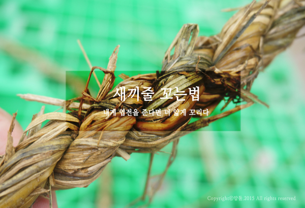 다꼬기 이미지