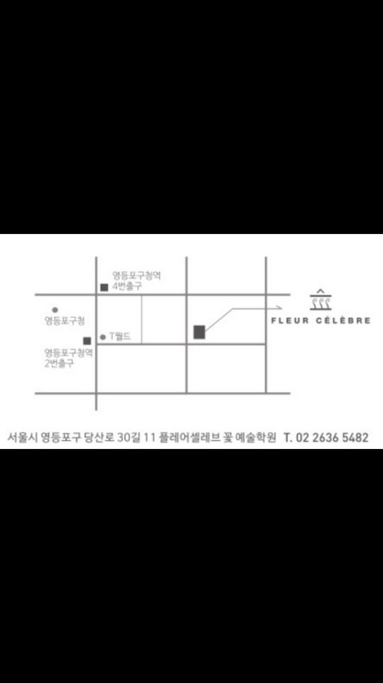 플레어셀레브 이미지
