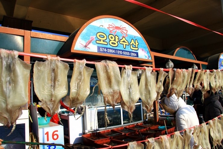 제16호오양수산 이미지