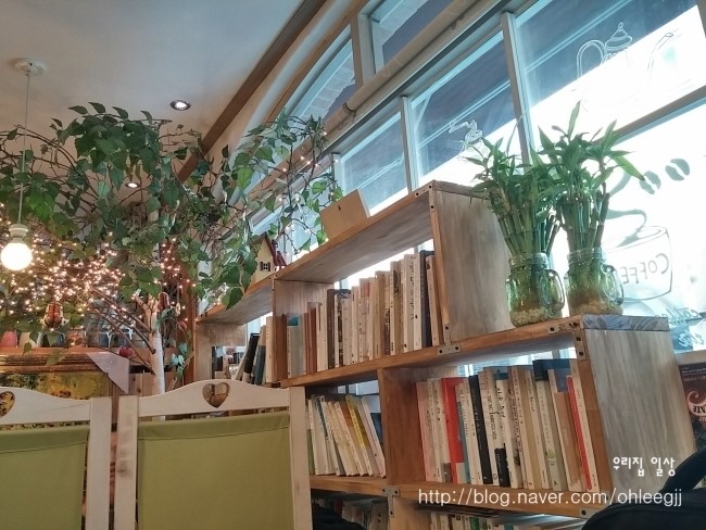 플로르까사 이미지
