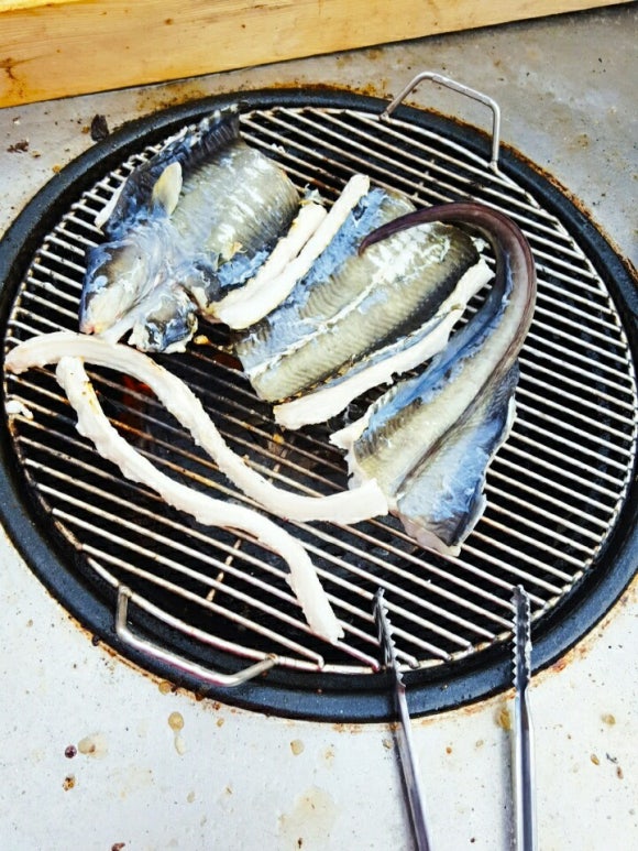 자연산바다장어 이미지