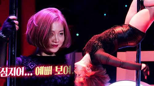 대한폴댄스연맹학원 이미지