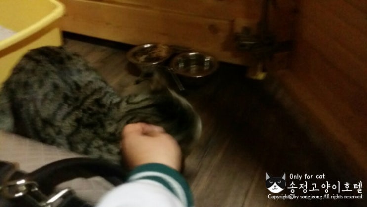 룰루라라 이미지
