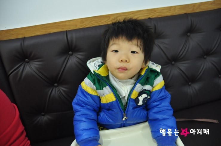 베이비베어 이미지