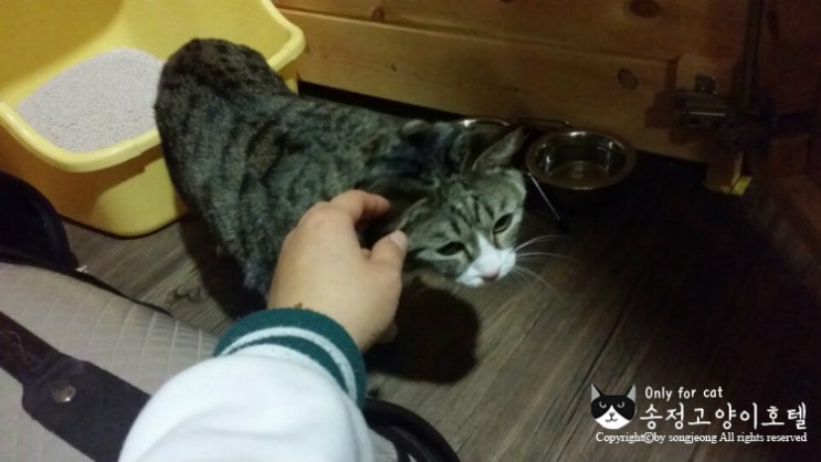 룰루라라 이미지