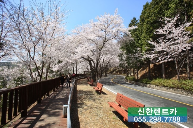 (주)신한 이미지