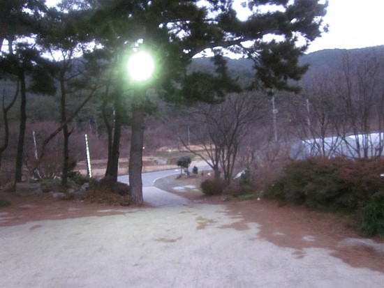 서해아구찜 이미지