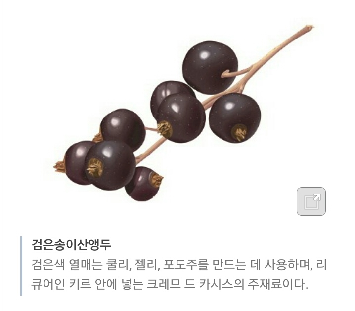 바니제과 이미지