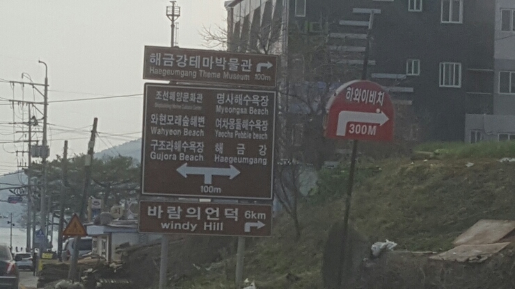 앤디여행사 이미지