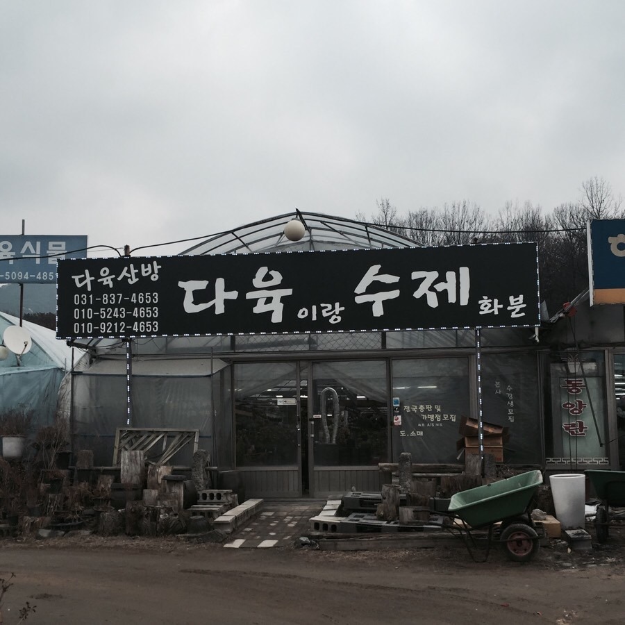 장암다육 이미지