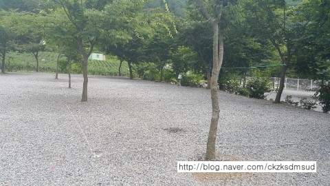 휴가를 부탁해 캠핑장 이미지