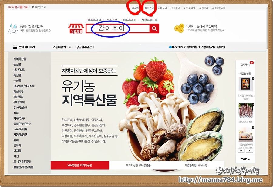 감이조아 이미지