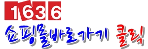 감이조아 이미지