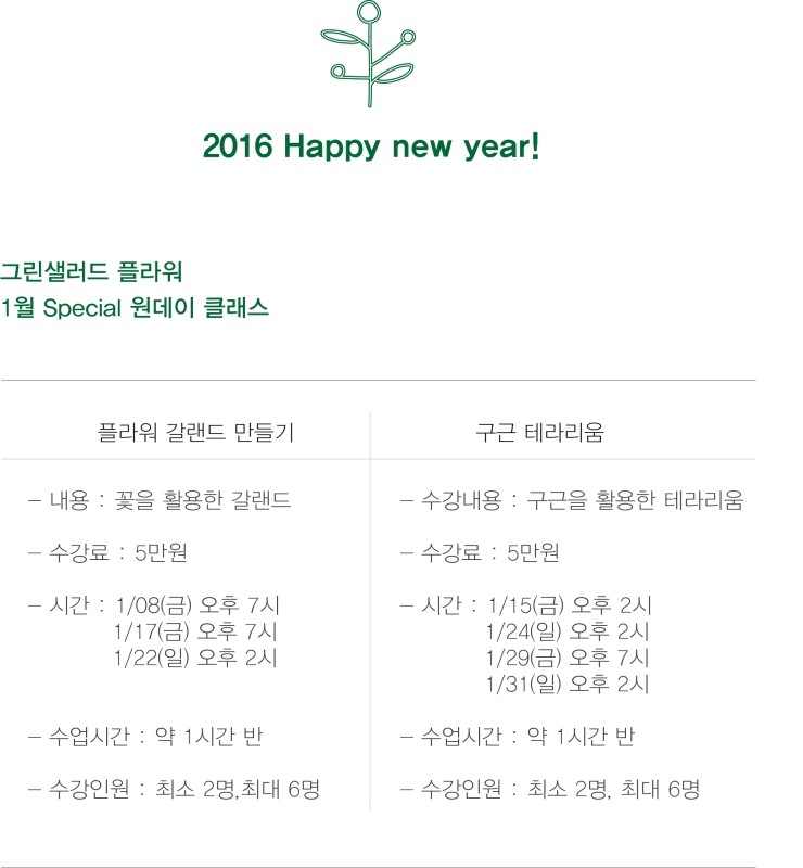 그린샐러드플라워 이미지