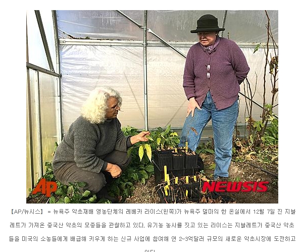 시장침구사 이미지