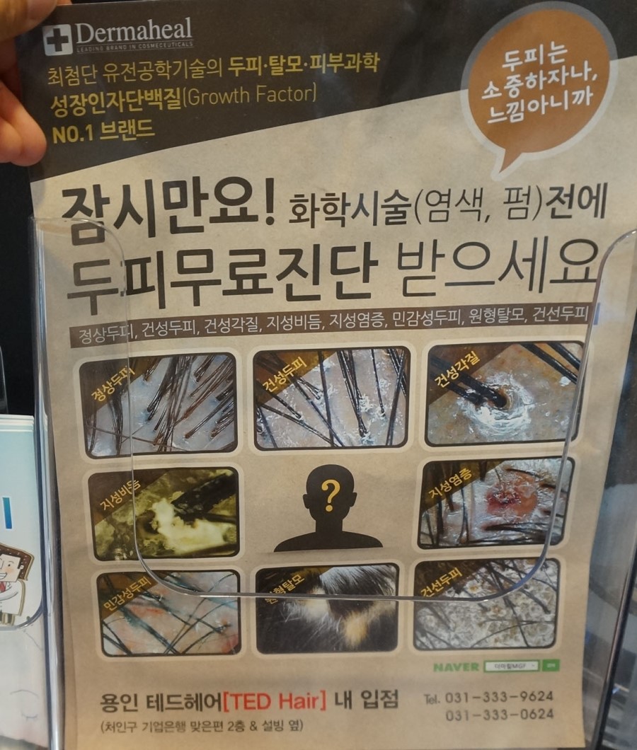 테드헤어 이미지
