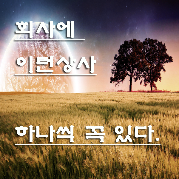 다한상사 이미지