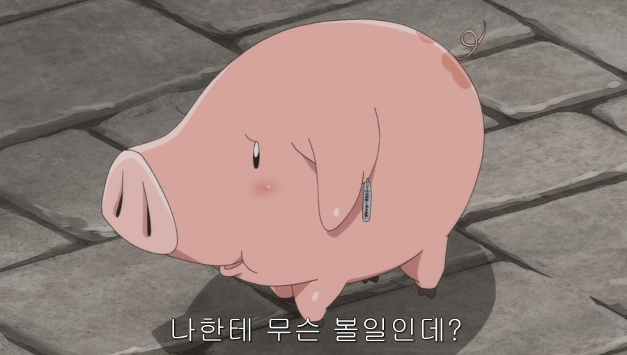 호크 이미지