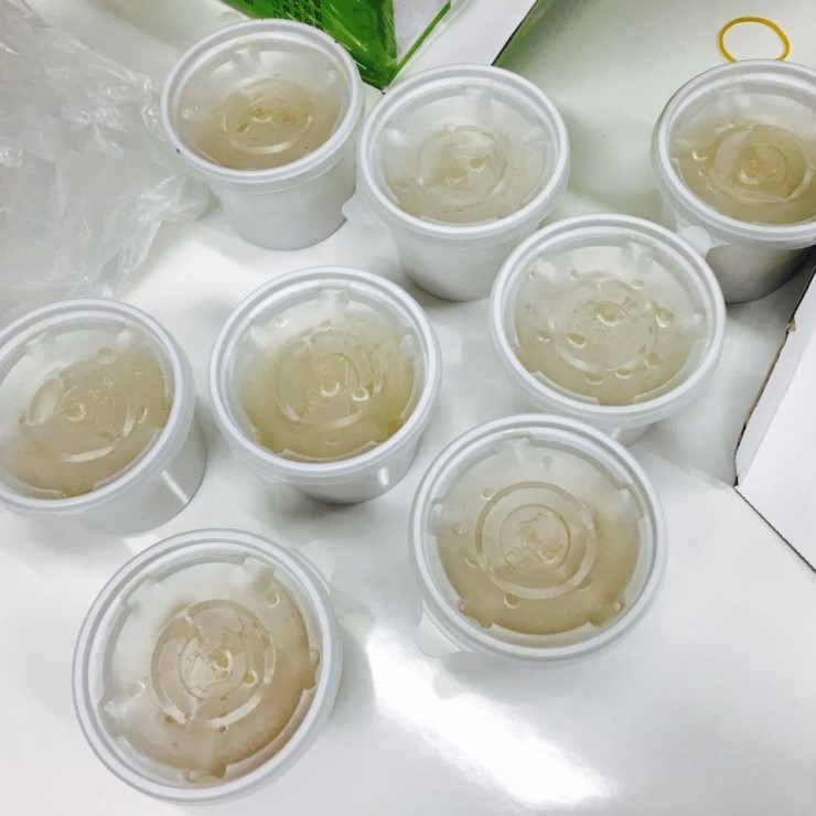 맛자랑꼬마김밥 이미지