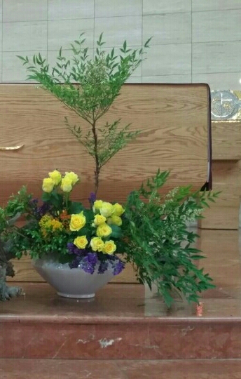 꽃들리에 이미지