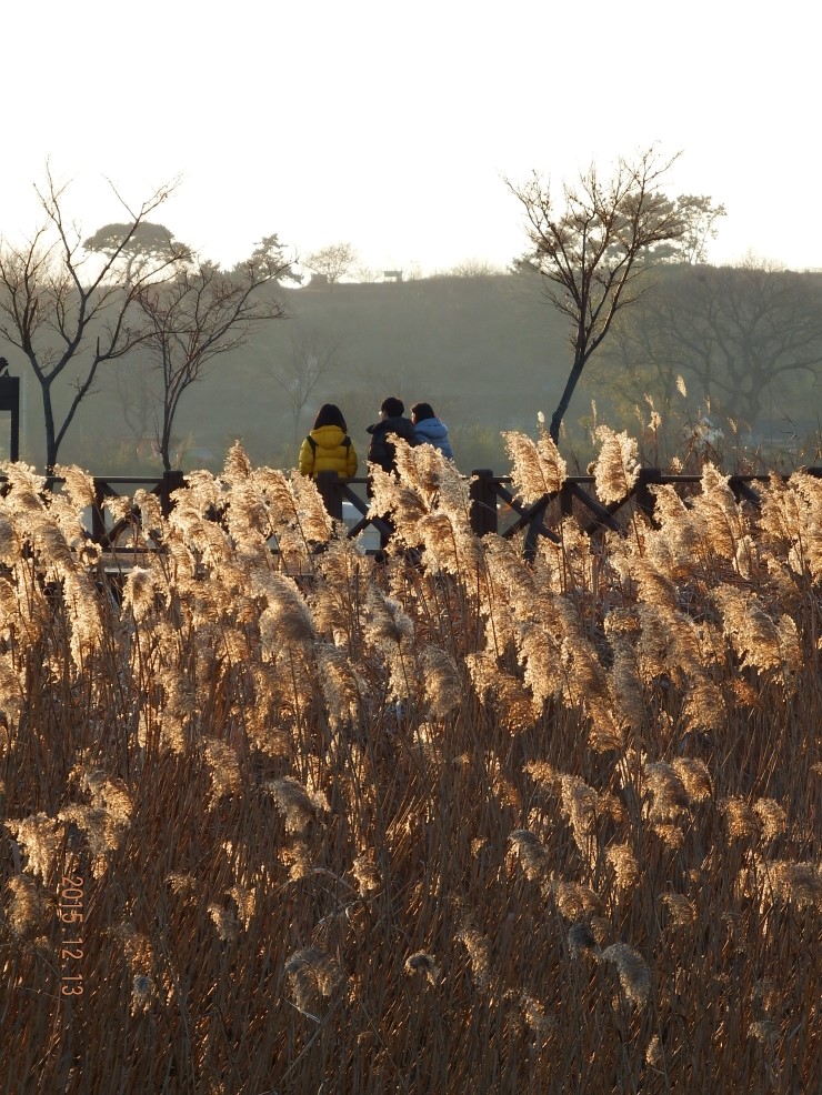 동천인쇄 이미지