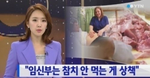 The참치 이미지