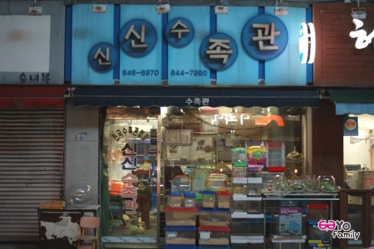 물의나라수족관 이미지