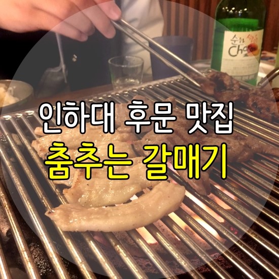 춤추는갈매기 이미지