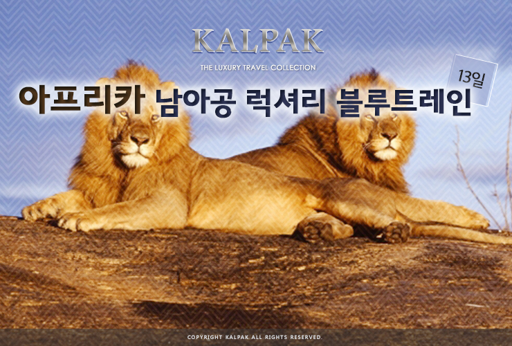 블루아프리카 이미지