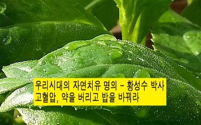 마리샵 이미지